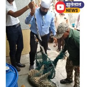 आखिर पांच घंटे की मशक्कत के बाद घायल बंदर का सुरक्षित रेस्क्यू